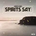 Spirits Say-cover