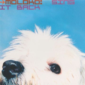 moloko-sing-it-back-cover-image