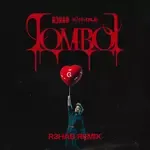 TOMBOY (R3HAB Remix)-cover
