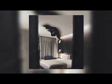 coveImg