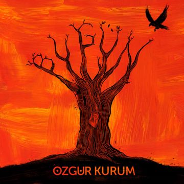 Bugün