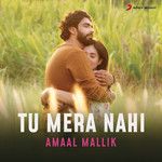 Tu Mera Nahi-cover