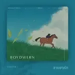 ชายขาหัก-cover