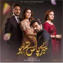 rahat-fateh-ali-khan-meray-paas-tum-ho-cover-image