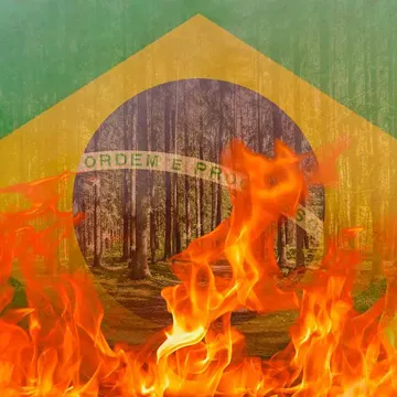 Brasil Em Chamas-cover