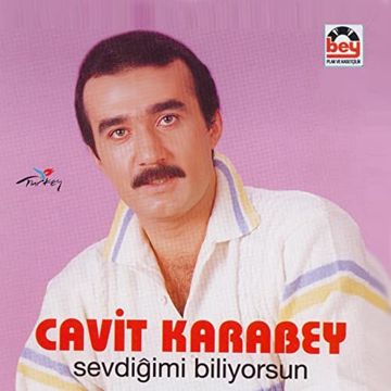 Sevdiğimi biliyorsun-cover