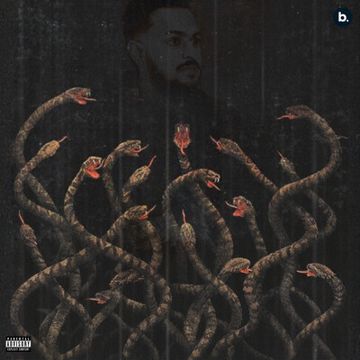 Snake-cover