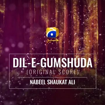 Dil-E-Gumshuda (Original Score)-cover
