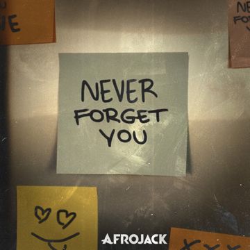 Never Forget You-cover