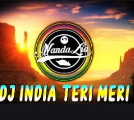 Dj Teri Meri-cover