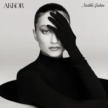 Sağ Salim-cover