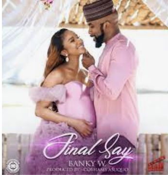 Final Say-cover