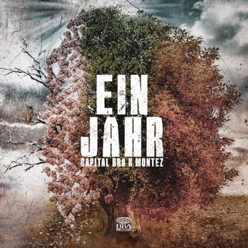 Ein Jahr-cover