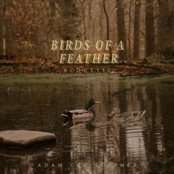 Birds of a Feather (Acoustic)-cover