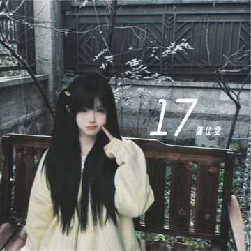 17-cover