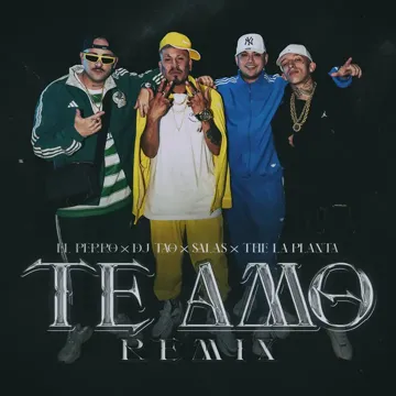 TE AMO RMX (feat. Salastkbron)-cover