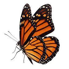 memories-lewis-dean-cover-image