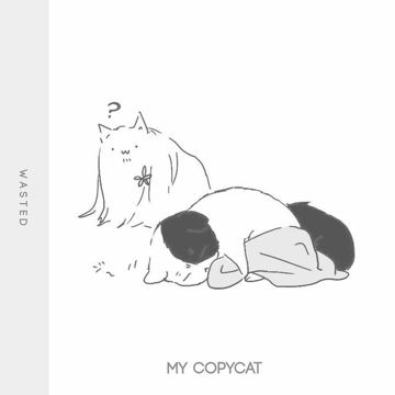 coveImg