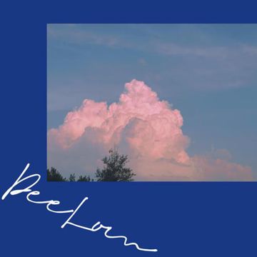 风一直刮-cover