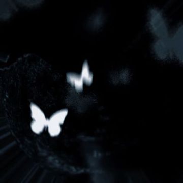 有形的翅膀（抖音热播）（我们是彼此 有形的翅膀）-cover