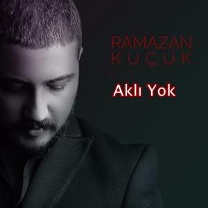 Akli yok