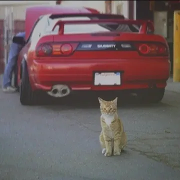 Let me down slowlyy (lofi)