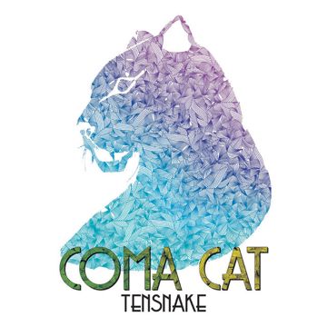 Coma Cat-cover