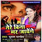 Tere Bina Mar Jayege-cover