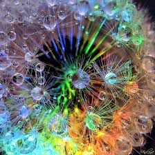 Я назову тебя зоренькой...☯︎