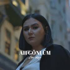 Seni gördüm neşem geldi-cover