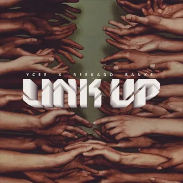 Link Up-cover