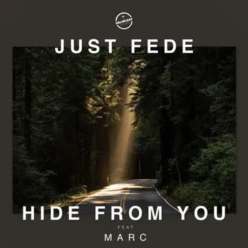 Hide from You-cover