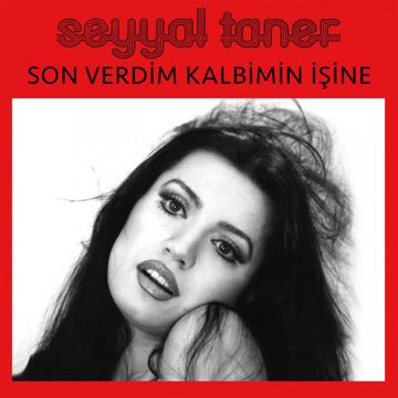 Son Verdim Kalbimin İşine-cover