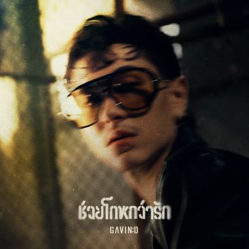 ช่วยโกหกว่ารัก (Deceived)-cover