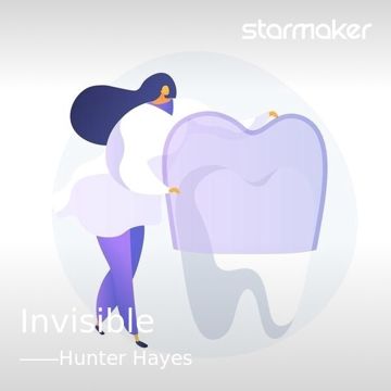 Invisible-cover