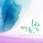 여름, 밤-cover