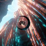 Paradigm-cover