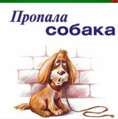 Пропала собака-cover