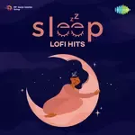 Kahin Door Jab Din Dhal Jaye - Lofi-cover