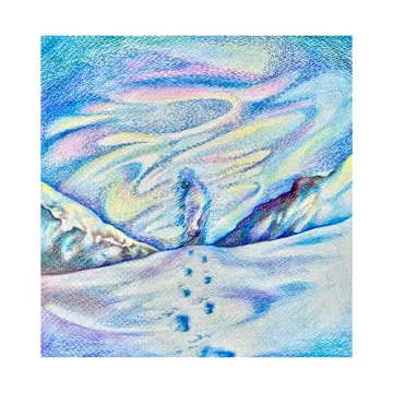 yeti-cover