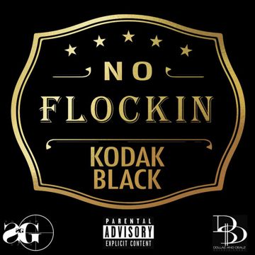 No Flockin-cover