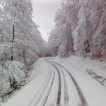 she said yes and i danced in the snow-cover