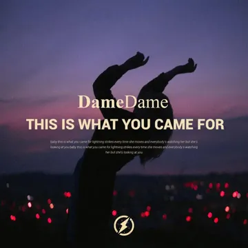 This Is What You Came For-cover