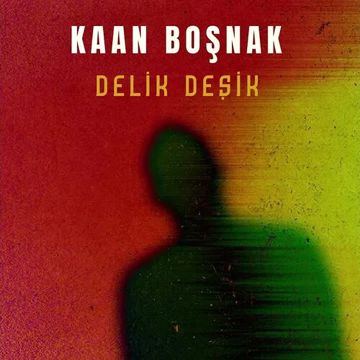 Delik Deşik-cover