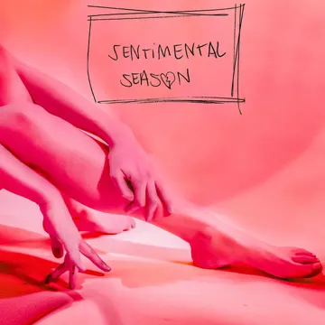 SETA-cover