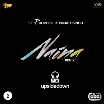 Naina (Upsidedown Remix)-cover