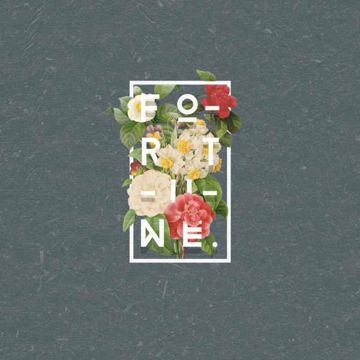 Fortune-cover