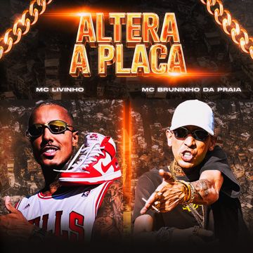 Altera a Placa-cover