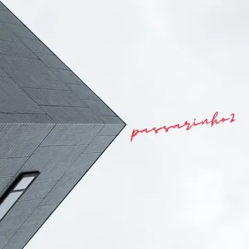 Passarinho 2-cover