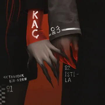 soft-analog-stila-cover-image